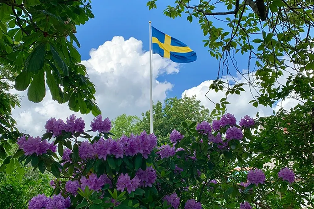 Svensk flagga i trädgård